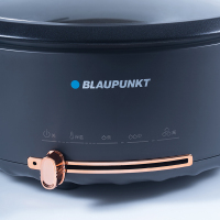 德国蓝宝(Blaupunkt)分体式电火锅家用4L大容量 多功能电炒锅电煮锅 清洗方便