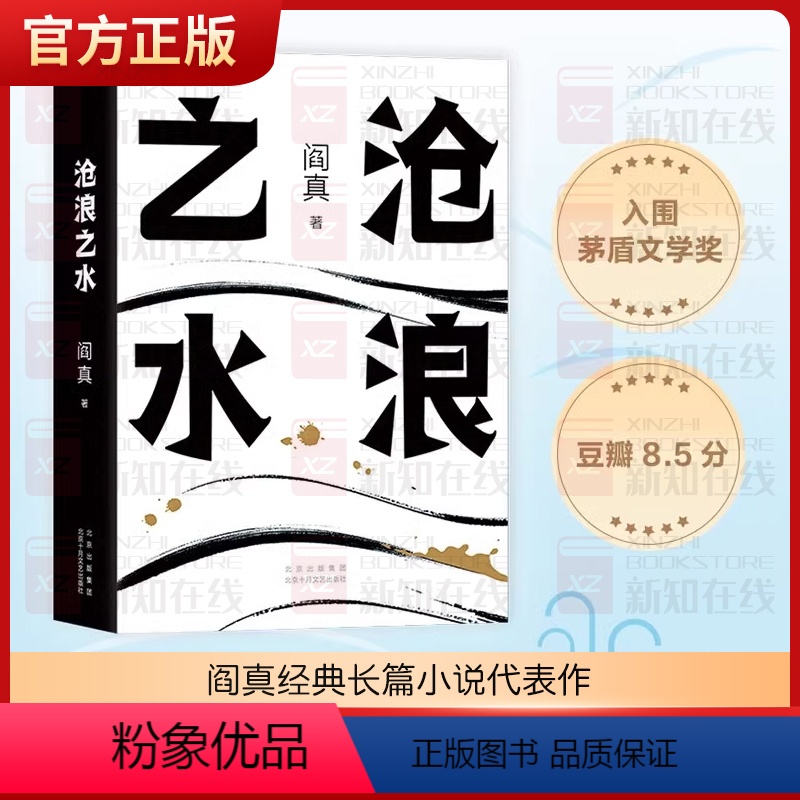 【正版】沧浪之水 阎真经典长篇小说代表作 胡军 于和伟主演高分国剧岁月原著 官场小说 职场小说 考公 国考 人民的名义