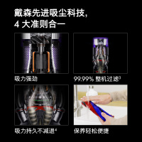 戴森(Dyson)无绳吸尘器 Micro 1.5kg 超轻量吸尘器手持无线手握式 铁镍色 除螨宠物家庭适用 新品