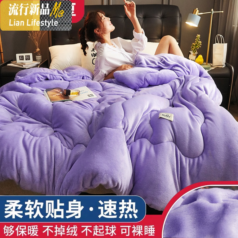 10斤被子冬被羊羔绒双面被加厚保暖棉被单人学生宿舍冬季被芯春秋 三维工匠