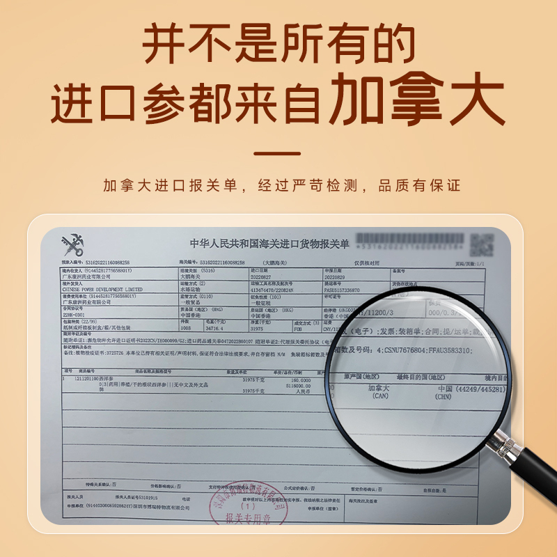 梦岭南 西洋参10g 花旗参切片含片 1管装 营养品滋补品