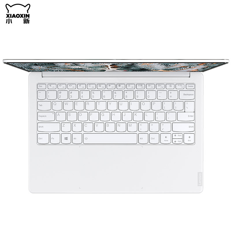 联想(Lenovo) 小新Pro13s 英特尔酷睿 i5 笔记本电脑 单个装