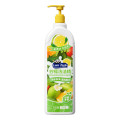蓝漂柠檬洗洁精1瓶装 800g LP-373285