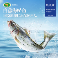 品珍鲜活 国产三去海鲈鱼三条净重1350g 海鱼(去鳞去鳃去内脏)活鱼鲜制 海鲜水产