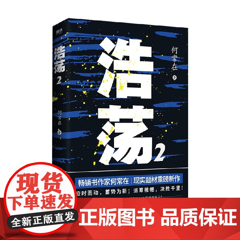 浩荡 2 何常在 著 小说高清大图