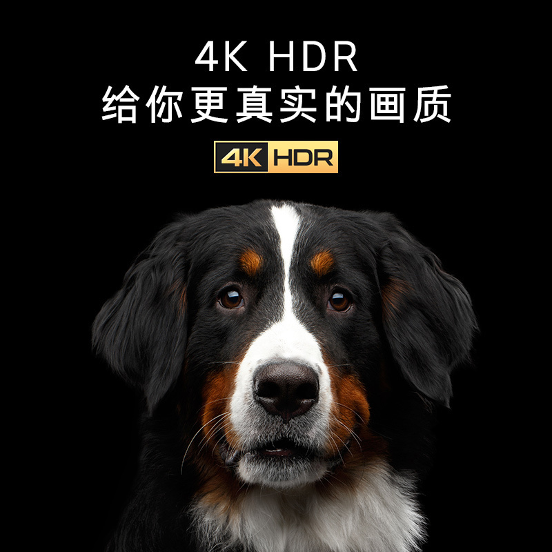 创维65A4 65英寸 4K 远场声控 2+16G AI系统