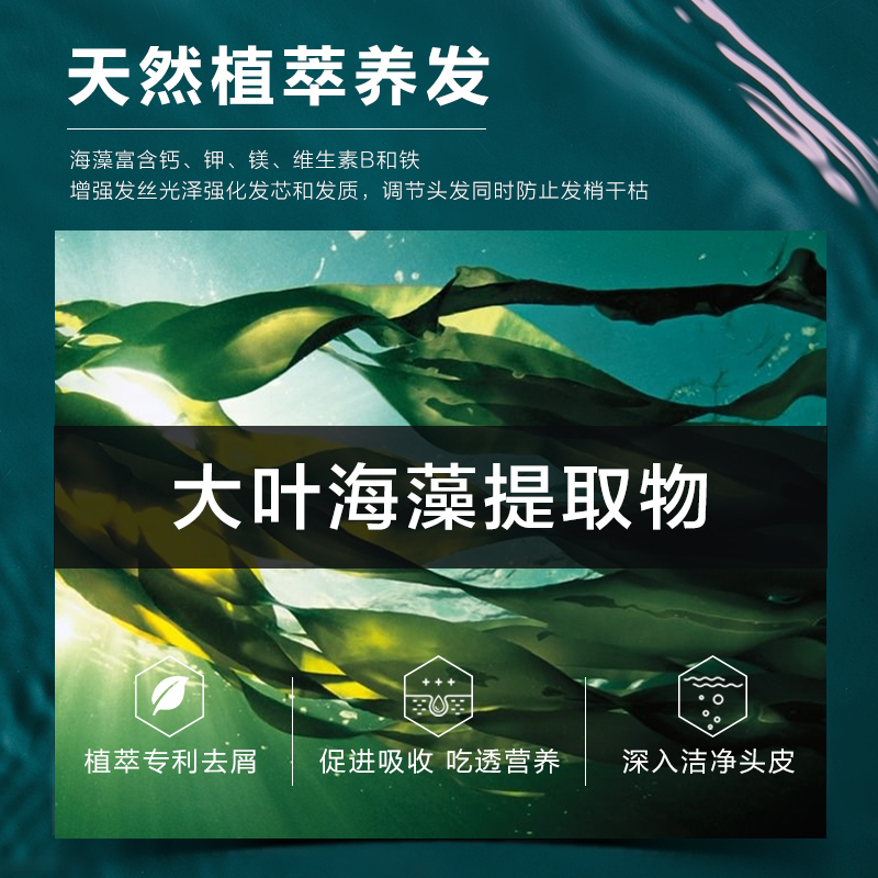 钟表/礼品/乐器>礼品>礼品定制>柏缇>柏缇海藻益生菌去屑滋养洗发水