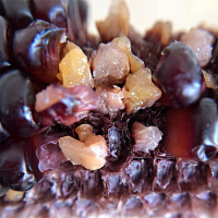东北黑糯玉米260g*8根 非转基因鲜食粘糯黑玉米棒 新鲜蔬菜