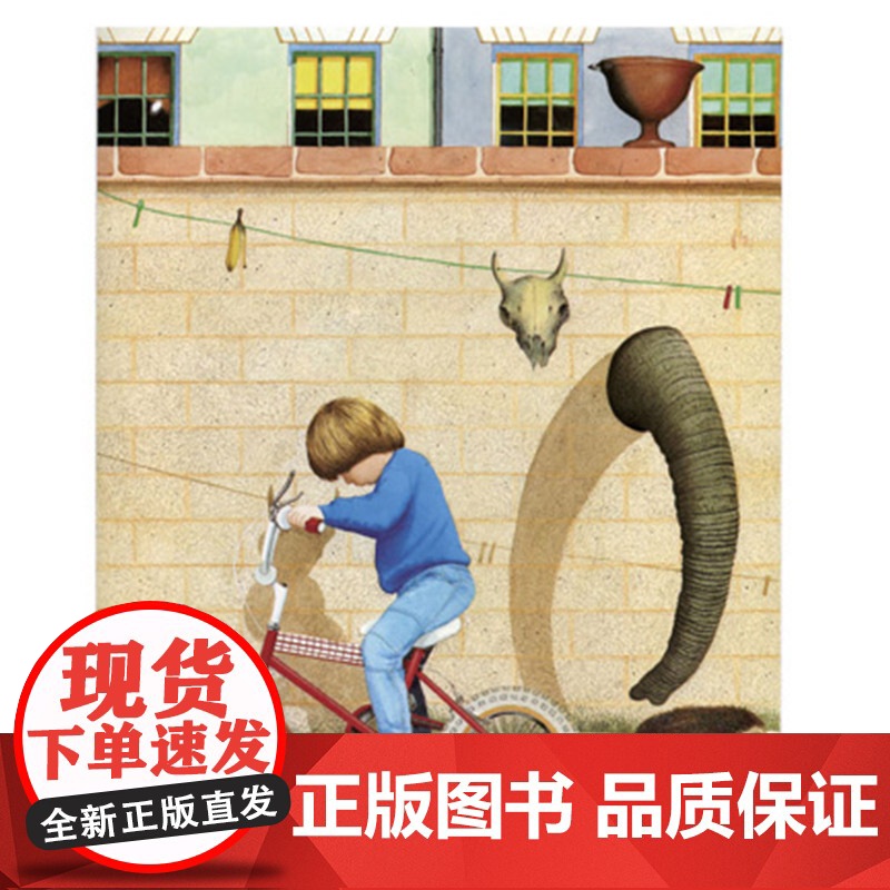小凯的家不一样了硬壳精装图画书绘本从孩子的心态和视角出发超现实的梦想创作安东尼布朗3岁4岁5岁6岁亲子共读二胎启发正版童高清大图
