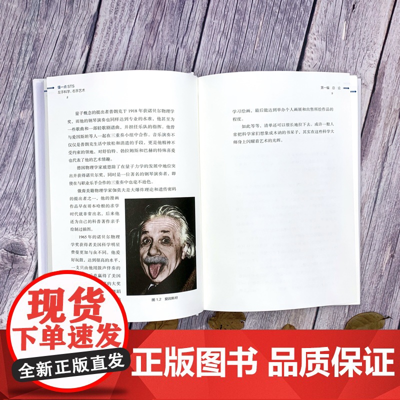左手科学,右手艺术 入选中国教育新闻网影响教师的100本书懂一点STS上海科学技术文献出版社高清大图