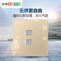 公牛(BULL)双网线插座二位墙壁86型宽带信息双电脑网络插座双网口网络面板G18T222 玫瑰金