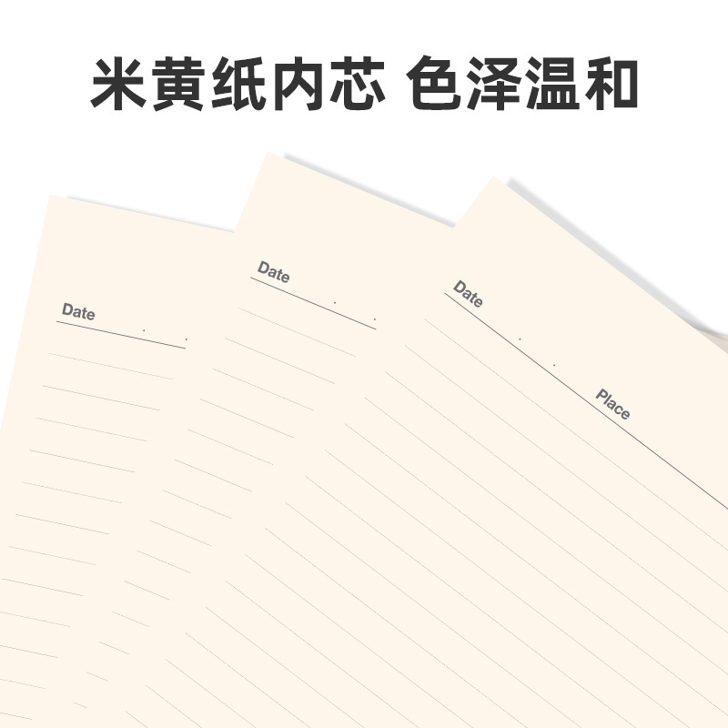 得力(deli) 3317 16K 商务笔记本80张 仿皮笔记本会议记录本-16K-80张(混) 5本装