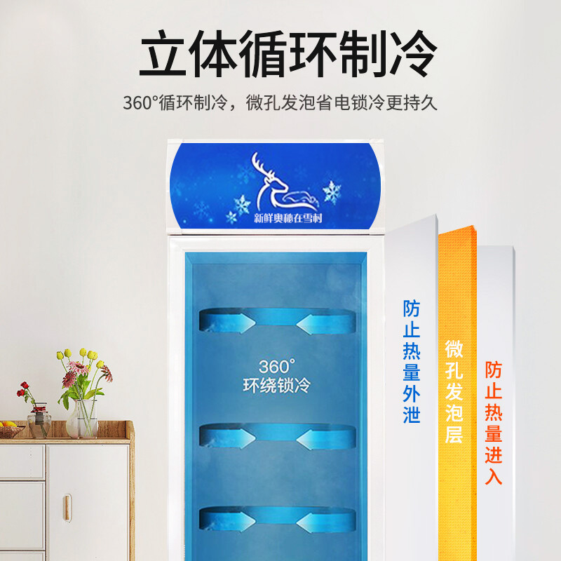 雪村(Xuecun)298升 商用展示柜 立式陈列柜 冰柜 冷藏保鲜柜 商用冷柜 啤酒柜 饮料柜LC-298A高清大图