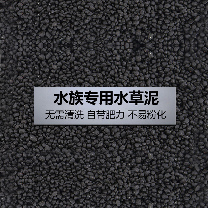 大九叶皇冠草真水草鱼缸装饰懒人水草淡水有茎类中后景性草