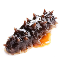 鲜盟即食海参大连野生特级辽刺参500g（12-20头）速食海生鲜活