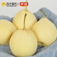 冀峰 甜鸭梨 9-11个 净重约2.3kg