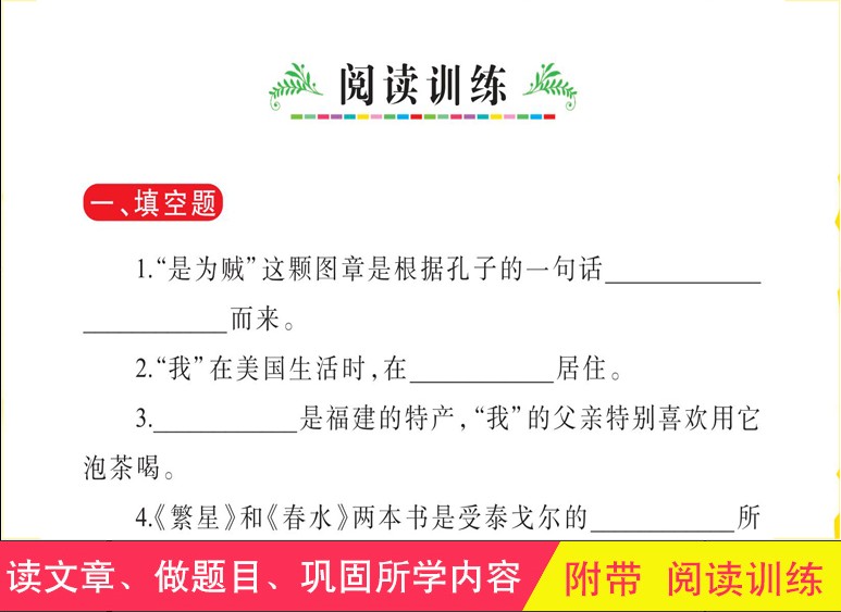 小桔灯 [正版]小桔灯冰心作品全集小学生诗集文集散文三四五六年级青少年版必读文学彩图美绘插画名师导读带批注读后感山东美术高清大图