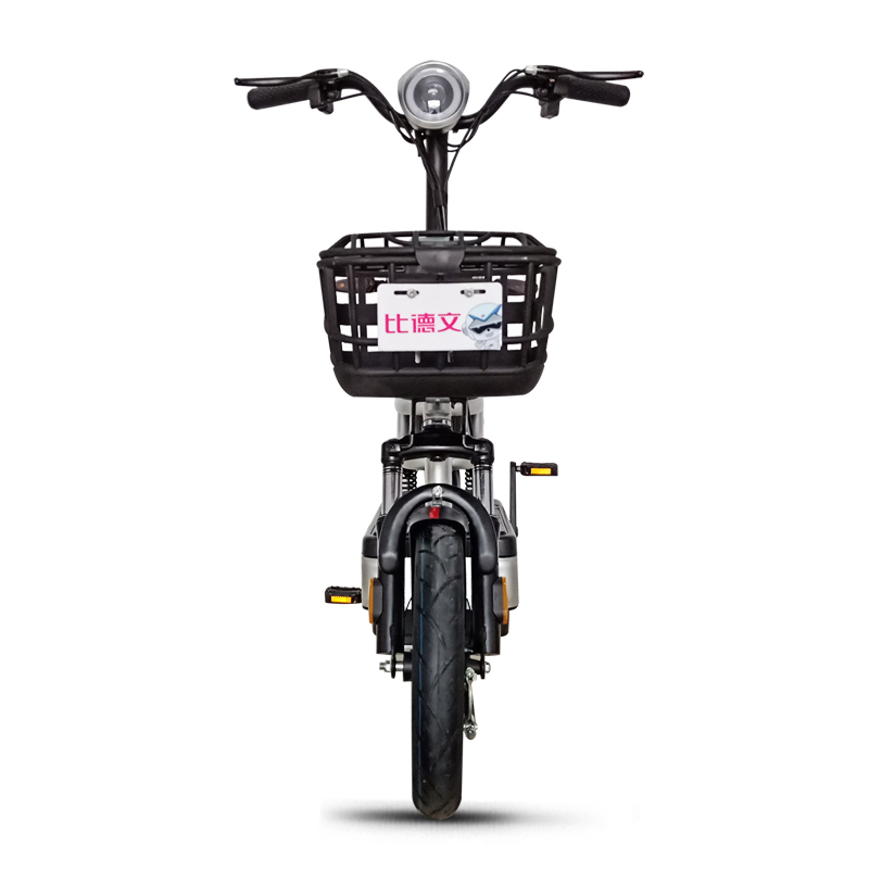 48V电动车比德文电动车自行车新国标长续航助力车成人电瓶车新款