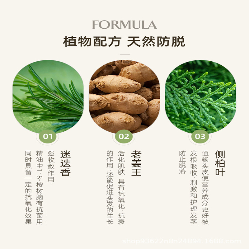 琴叶生姜防脱发控油洗发水姜汁增发去屑止痒洗发露姜王育发