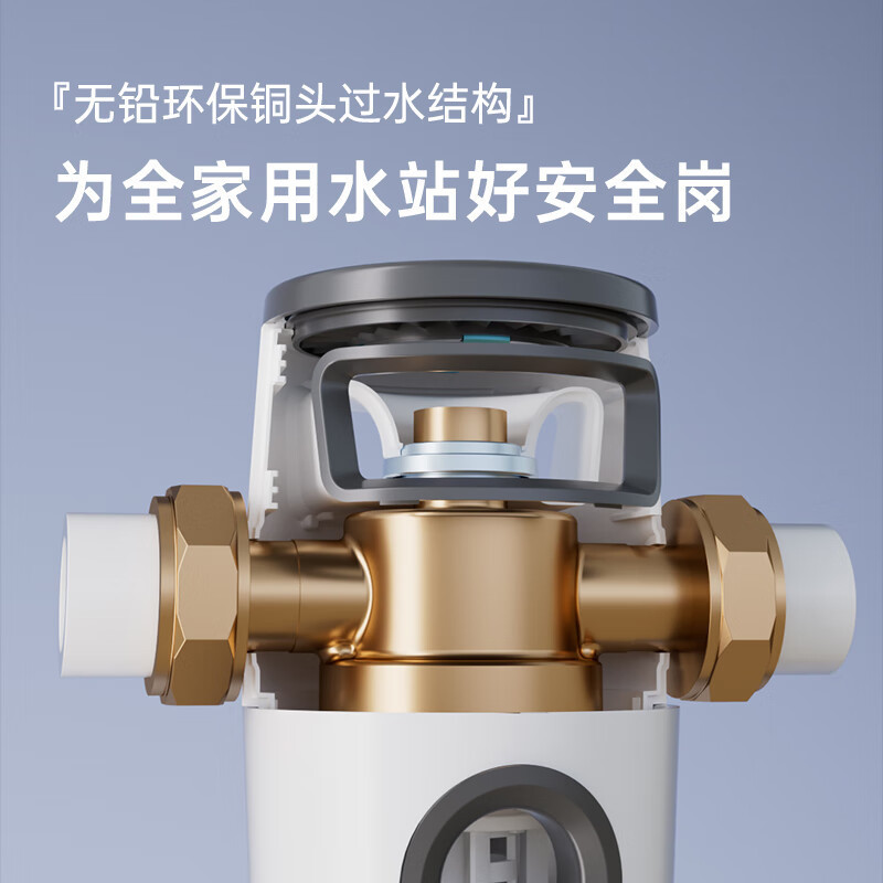 志高6T/h大流量前置过滤器家用反冲洗自来水全屋中央净水器Q5上门安装