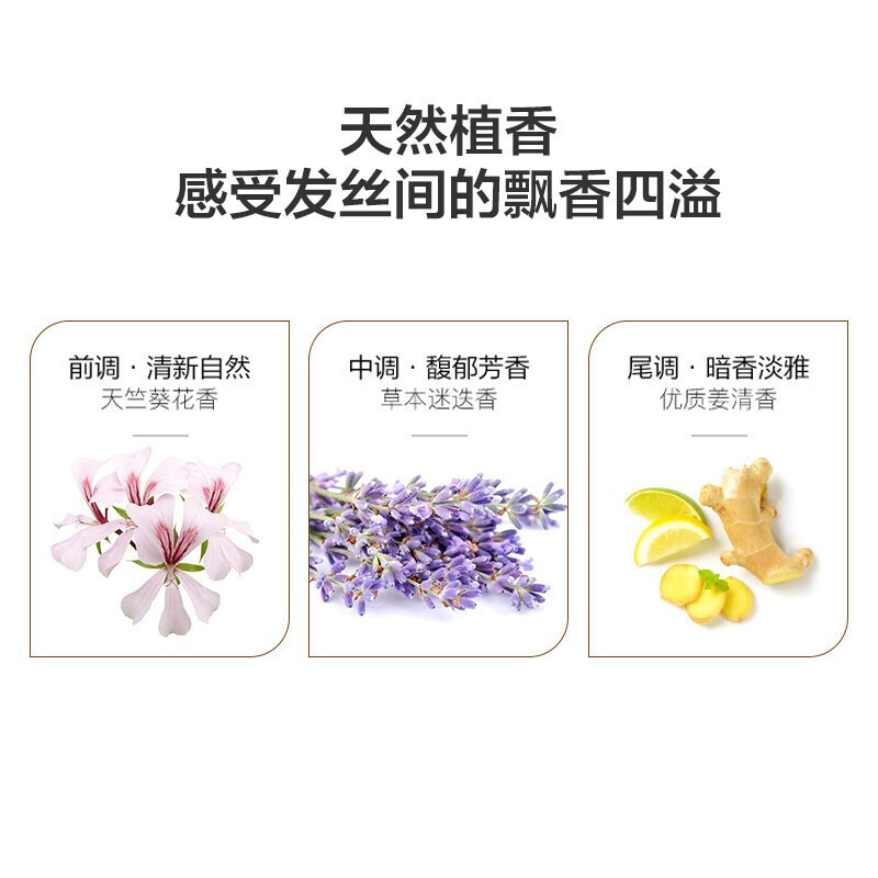 阿芙(AFU)生姜洗发水洗发露脱发控油无硅油防干枯毛躁 强健发根 洗发水+护发素500ml*2