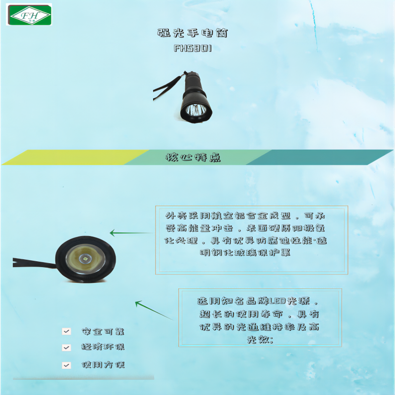 非芯赫 强光手电筒 FHS801高清大图