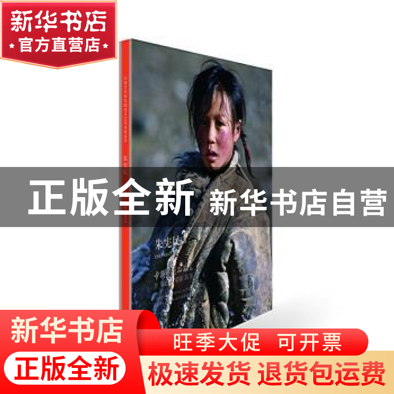 正版 中国艺术研究院著名艺术家精品集:朱宪民:Zhu Xian Min 谭平