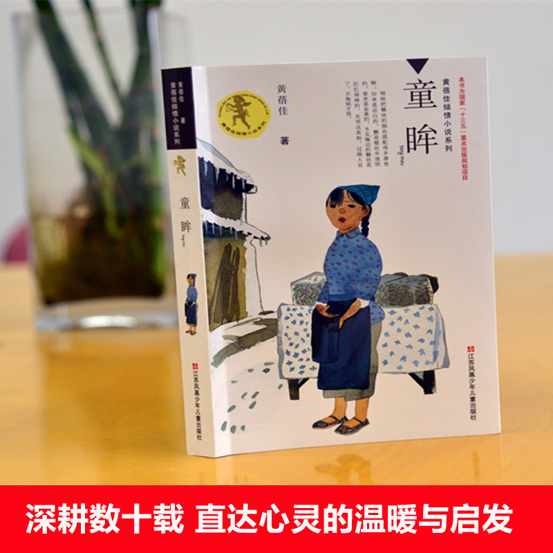 童眸 [正版]童眸书 黄蓓佳倾情小说系列书籍学校读物儿童文学暑假课外书阅读读物三四五六年级小学生课外阅读高清大图