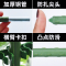 花架爬藤架花盆支架托架庭院植物藤印象包塑钢管厚葡萄架爬藤架子花支架