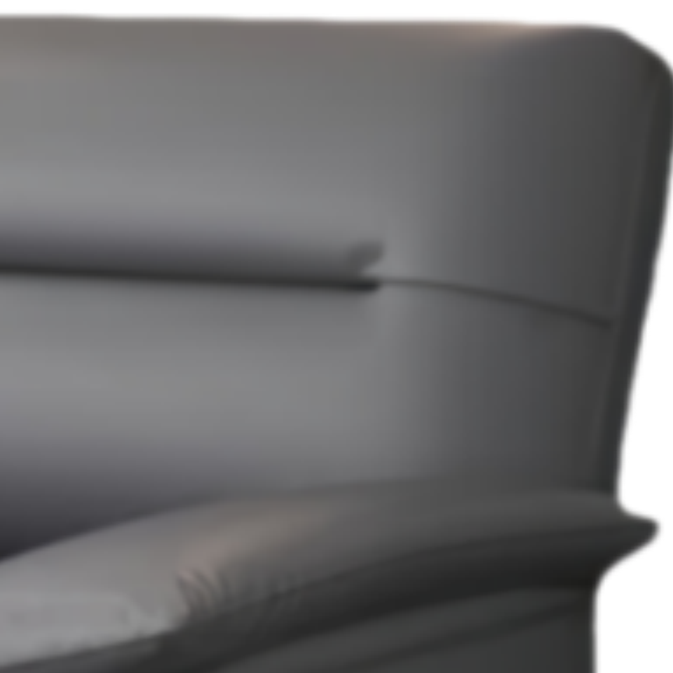 乐琪艺沙发床皮质张高清大图