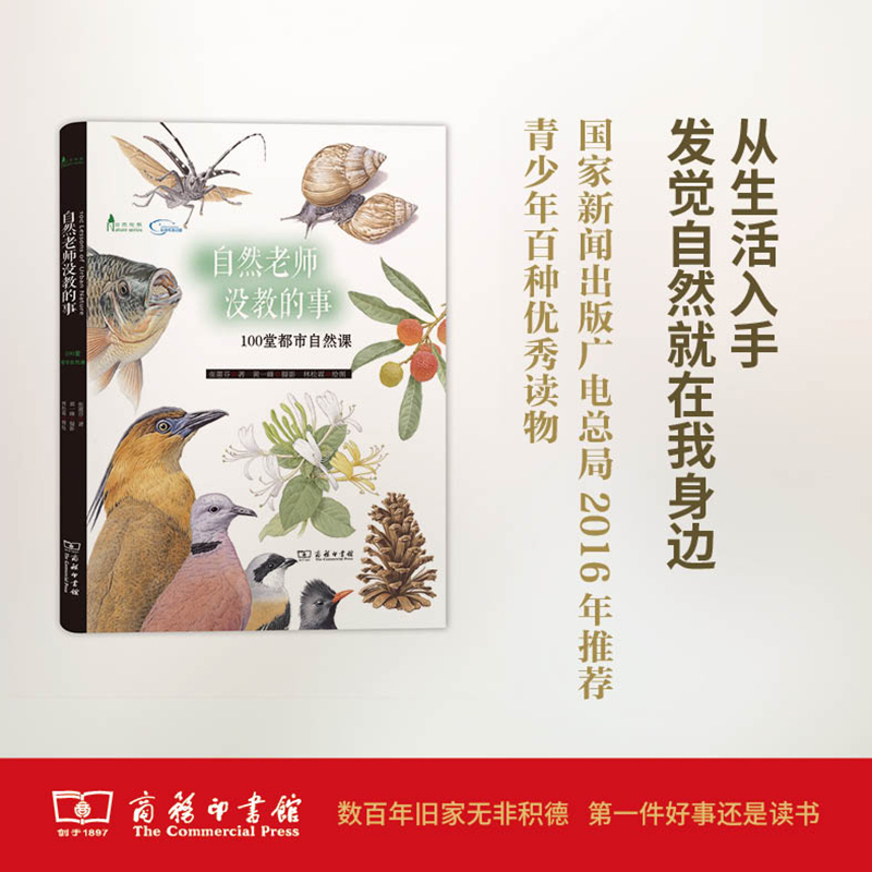 自然老师没教的事(100堂都市自然课) 张惠芬著黄一峰摄影林松霖绘图 著 文教 文轩网