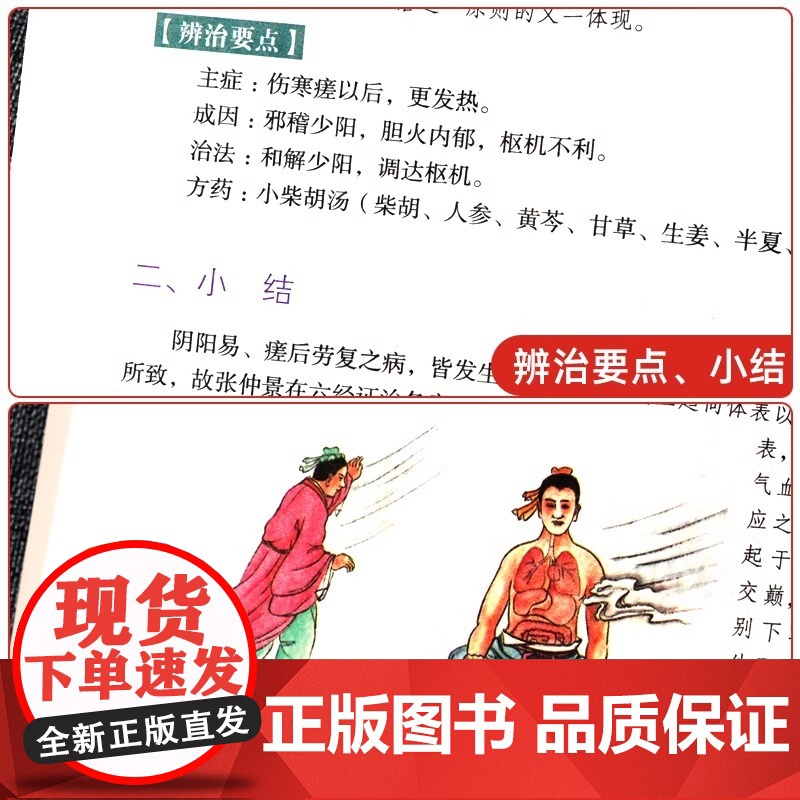 正版 伤寒论 张仲景 中医书籍大全 彩图典藏版含原文注释译文 杂病论医药大全中医书籍中草药彩图大全书医学类书籍中药中医书高清大图