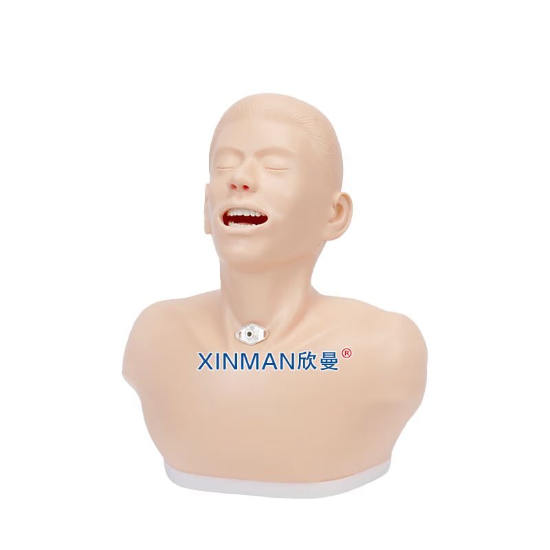 欣曼科教 高级成人气管切开护理模型XM-H23高清大图