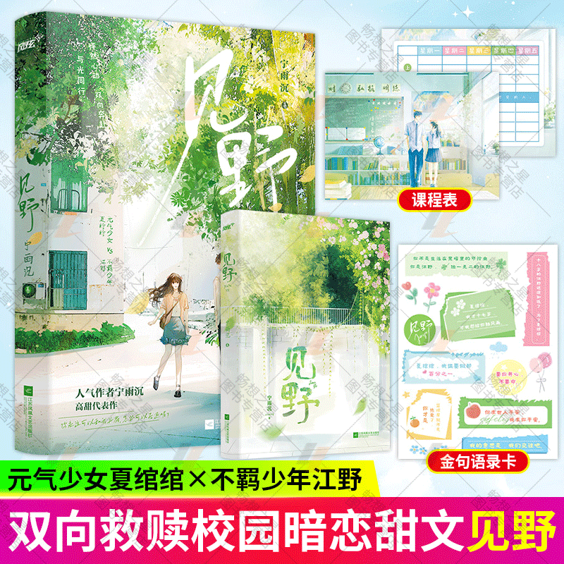 [醉染正版]见野上册 高人气作者宁雨沉破圈高甜青春校园代表作 他的小撩精甜爆啦风炫夏绾绾江野 青春都市校园言情小说书籍完高清大图