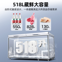星星(XINGX)BD/BC-518GS超低温厨房商用保鲜设备卧式冷柜单温冷藏冷冻转换柜家用大容量深冷速冻柜铜管制冷