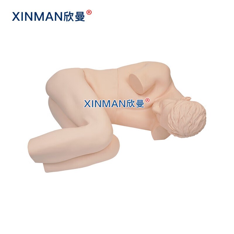 欣曼科教 腰椎穿刺模拟人 腰椎穿刺训练模型 教学实验用XM-YC01高清大图