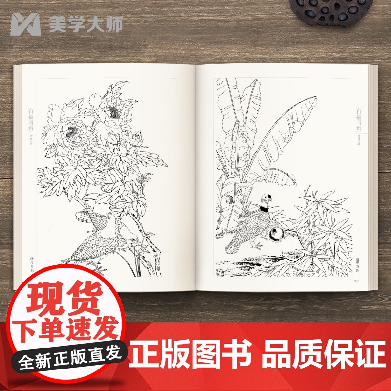 白描画谱 禽鸟篇 中国工笔技法画册集书籍入门初自学者零基础教程材成人手绘临摹勾线名家底稿图大全美术绘画高清大图