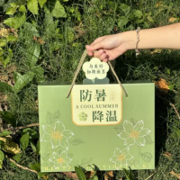 企业定制防暑降温物资套餐E