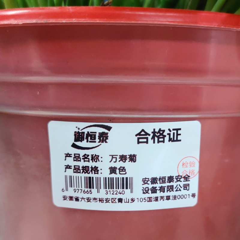 御恒泰 万寿菊 黄色 束高清大图