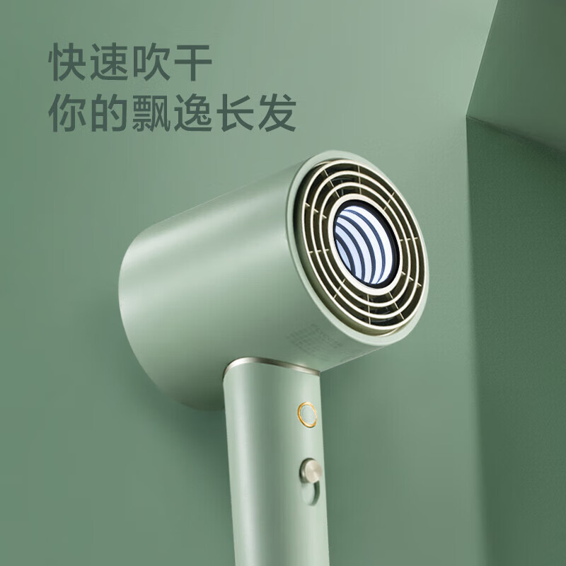 飞科(FLYCO)电吹风机 柔风负离子恒温护发家用宿舍用冷热大风量快速干发低噪音吹风筒礼物送女友FH6310绿
