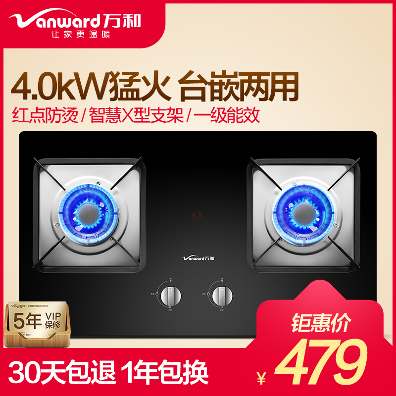 万和(Vanward) B5-L228燃气灶 液化气煤气灶双眼灶 台式嵌入式灶具大火力 全进风钢化玻璃高能猛火（液化气）