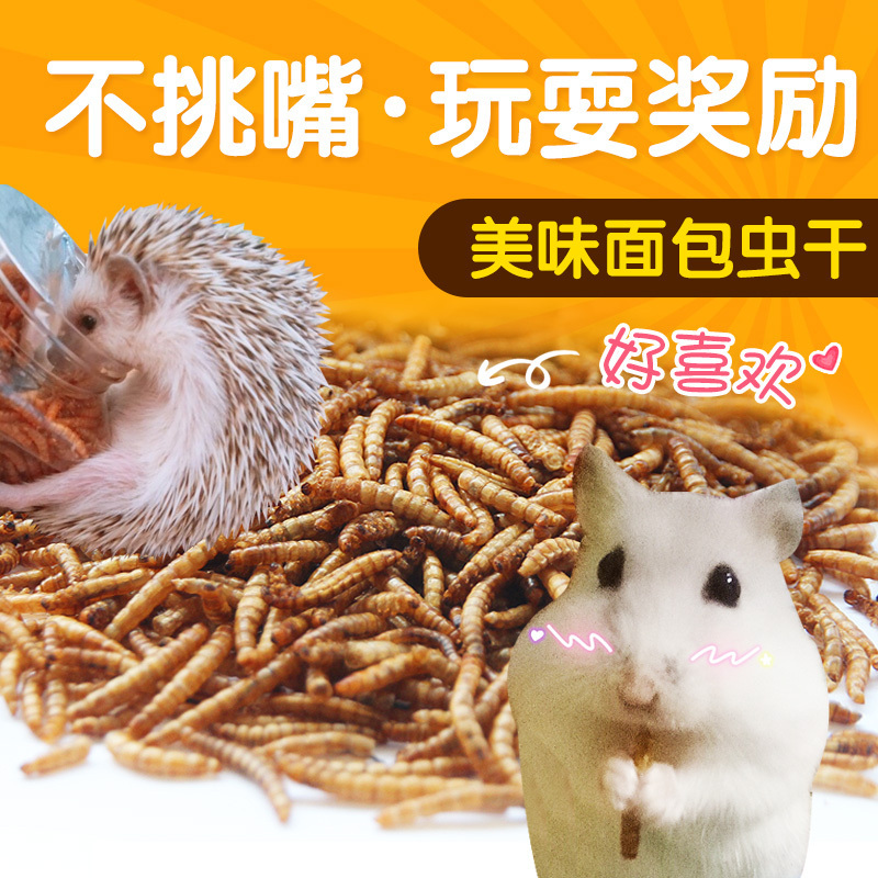 仓鼠粮食刺猬面包虫干罐装粉虫粉八哥鸟食龟食营养高蛋白