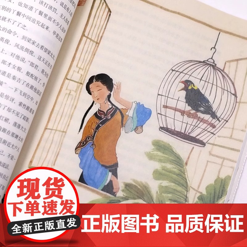 正版全6册 顾爷爷讲中国民间故事 顾希佳编写 青少年中小学 教材 阅读经典丛书 语文手绘插画民间传说智慧 中华经典故事高清大图