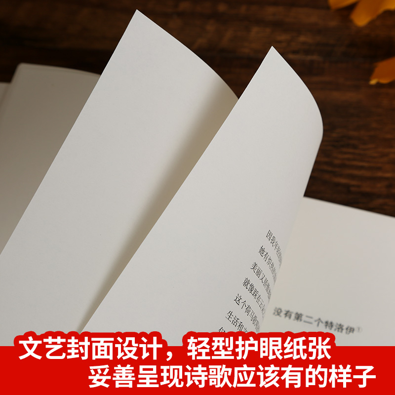 [正版]诺贝尔文学奖作品当你老了 叶芝诗集书籍现代诗歌名家精选集 外国诗歌散文书籍 书 唯美文学经典排行榜散文诗集高清大图