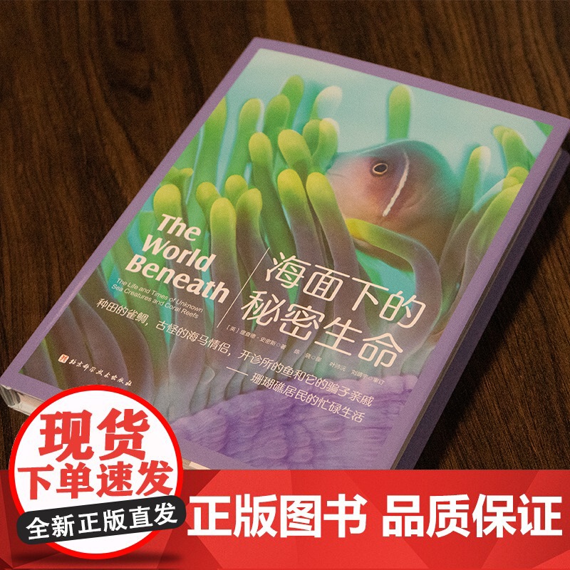 海面下的秘密生命 理查德史密斯 水下摄影 海洋生物科普 潜水 北京科学技术高清大图