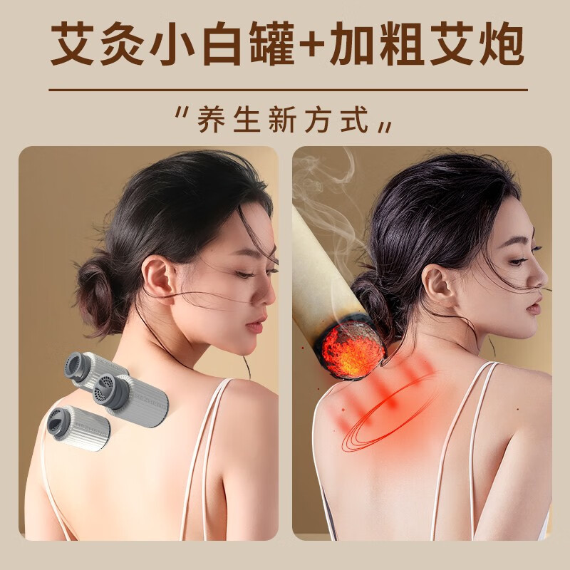 和正(HEZHENG) 艾健康礼盒一HZ-AH1(艾炮*2+灭火筒*2 艾灸罐*2+艾柱*40+胶贴*40)
