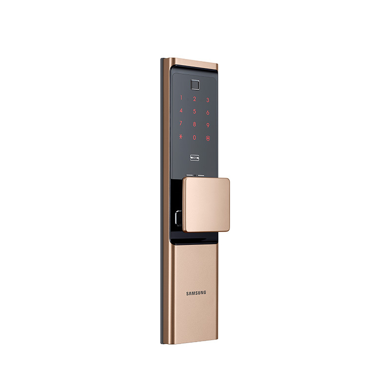 三星(SAMSUNG)指纹锁全自动智能门锁密码锁家用防盗门锁电子锁智能锁WIFI远程解锁SHP-R80