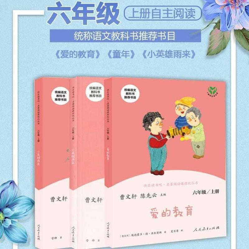 快乐读书吧六年级上册课外书全3册人教版爱的教育童年小英雄雨来