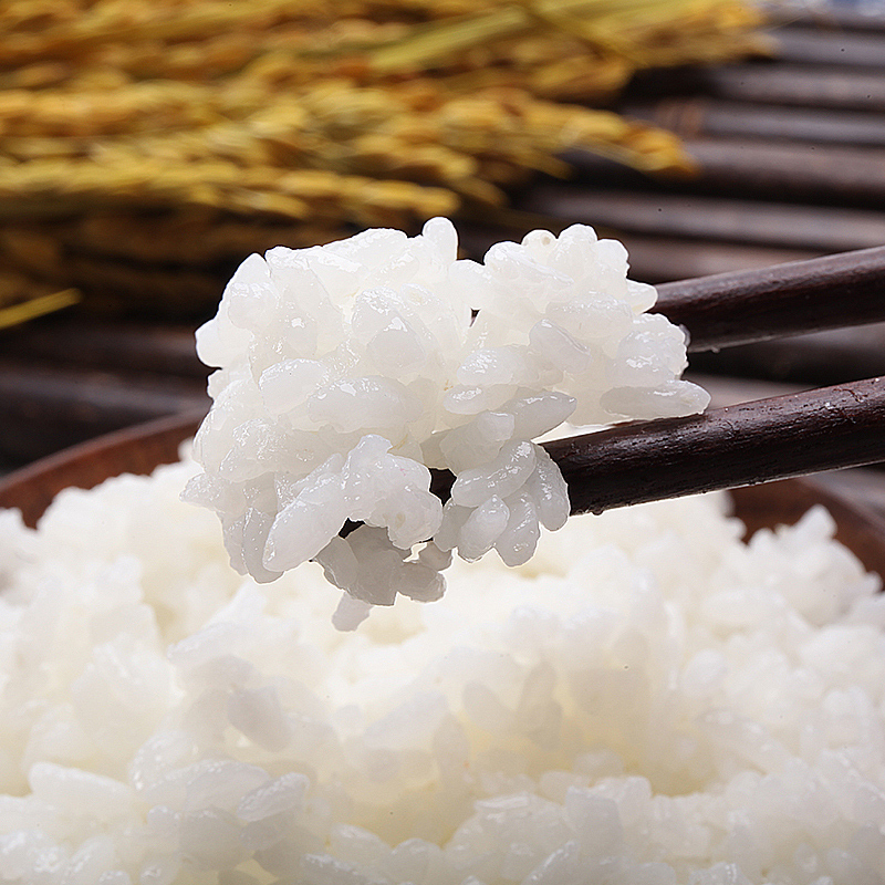 友吉源东北秋田小町大米5kg新米梅河口圆粒米寿司米珍珠米10斤