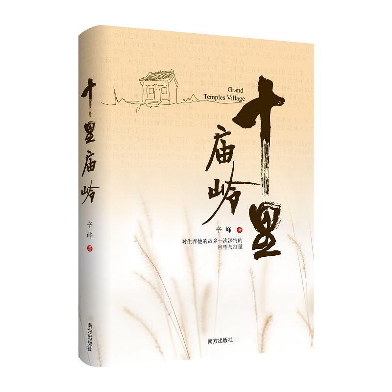 正版新书]十里庙岭辛峰9787550191723高清大图